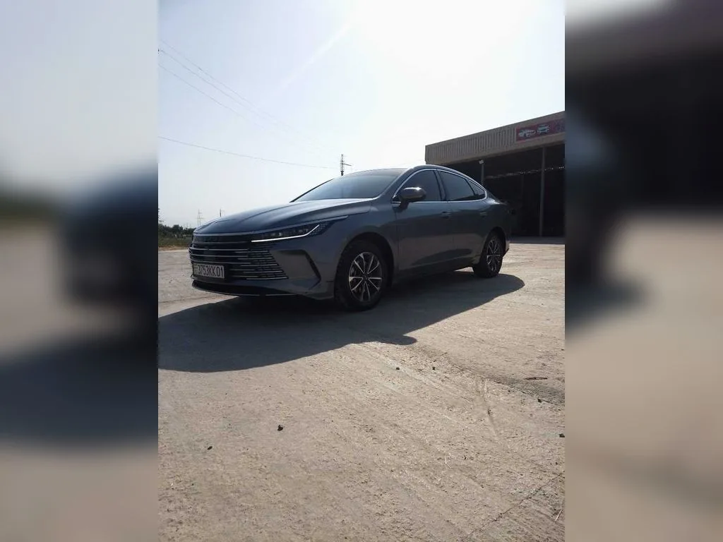BYD Destroyer