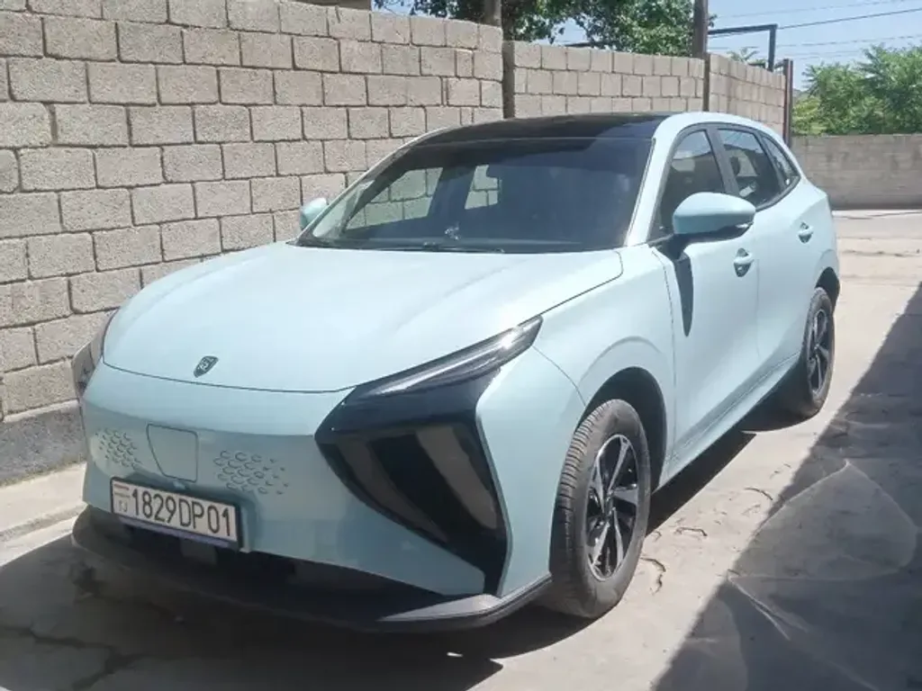 Dongfeng Forthing