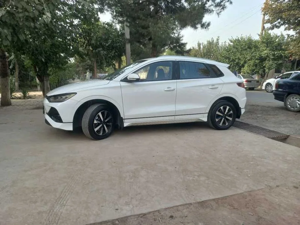BYD E2
