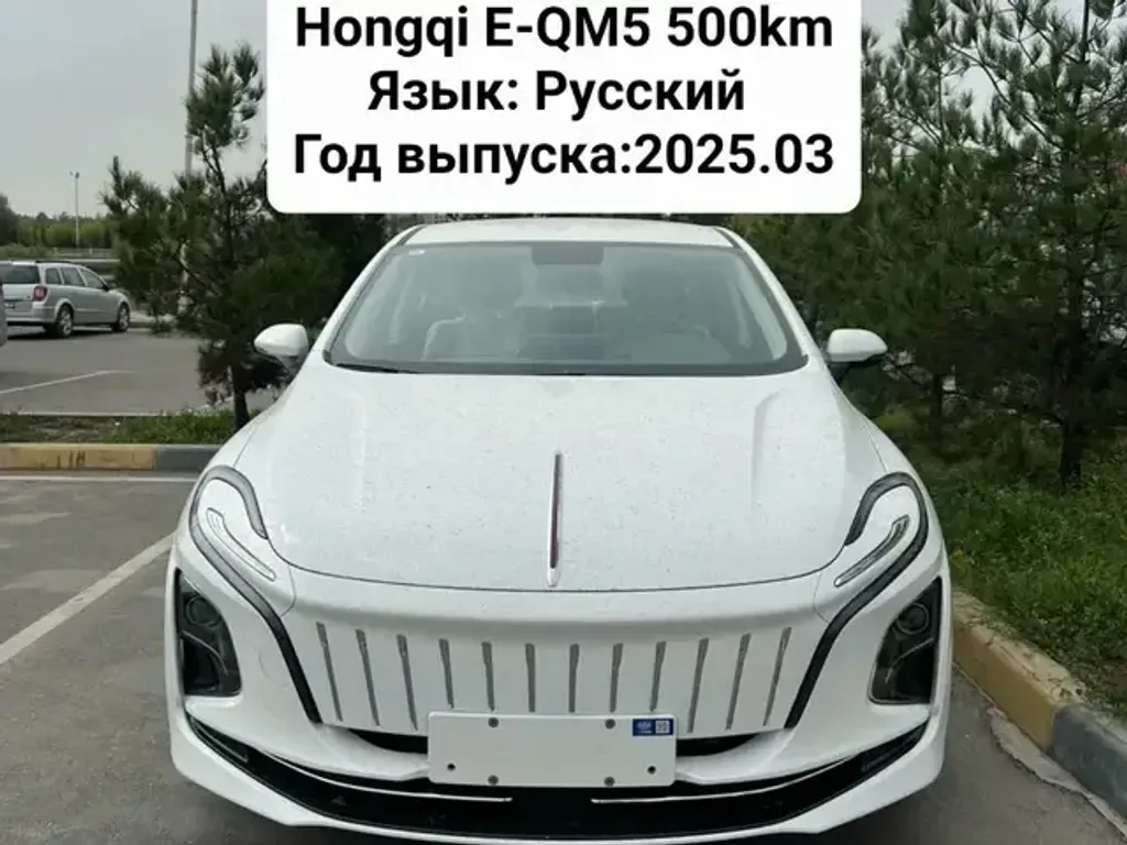 Hongqi E Qm5