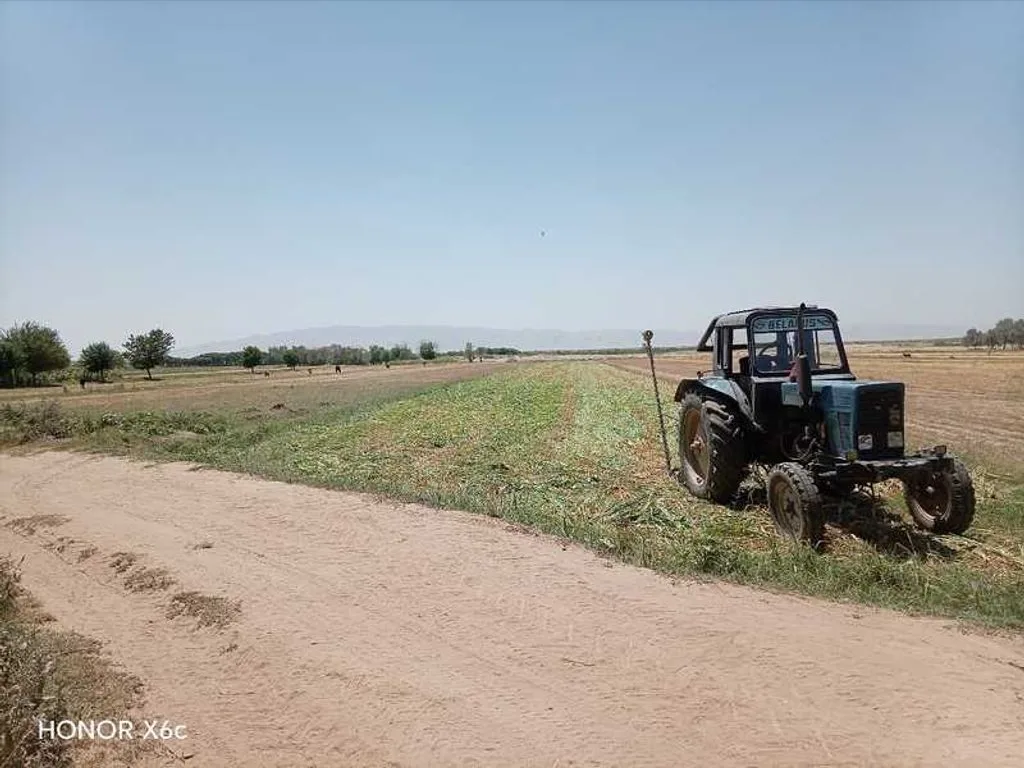 Трактор МТЗ 80