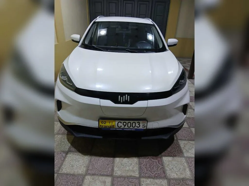 BYD B2