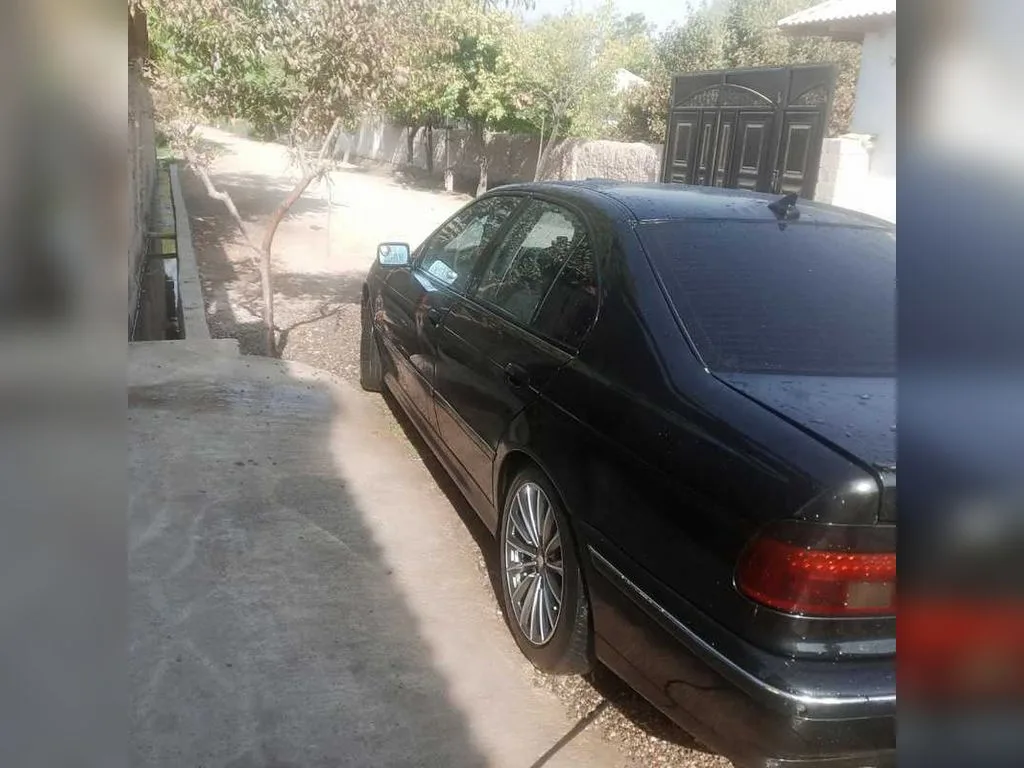 BMW M5