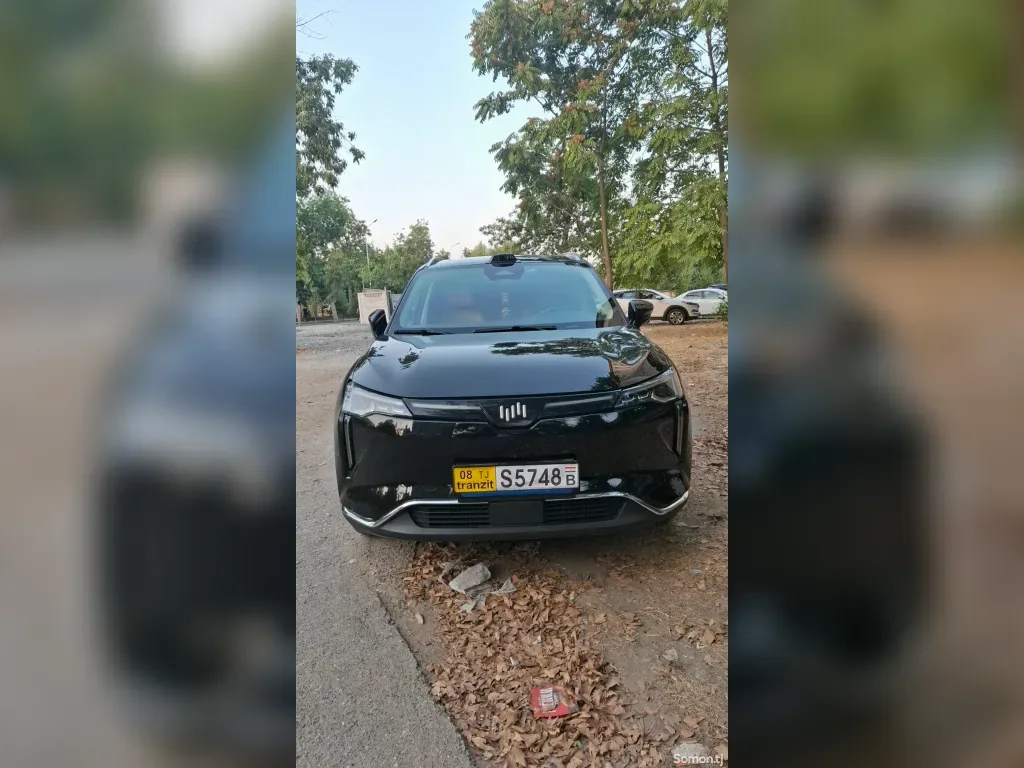 Weltmeister W6