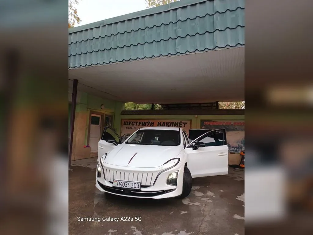 Hongqi E Qm5