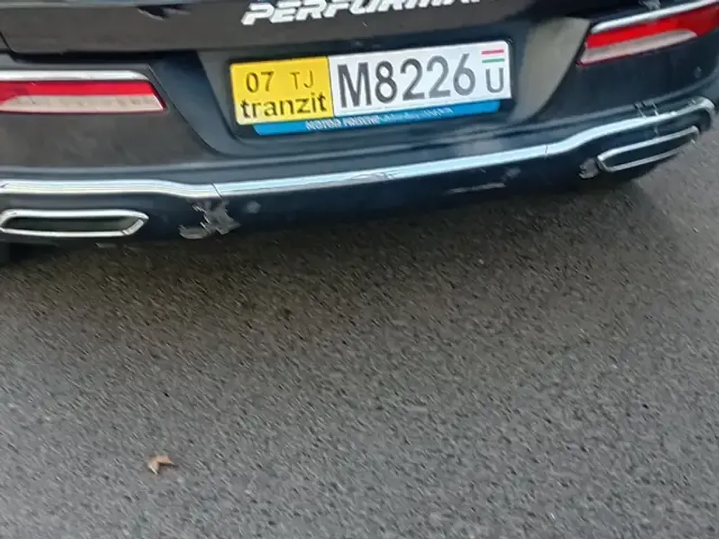 Leopaard Mattu