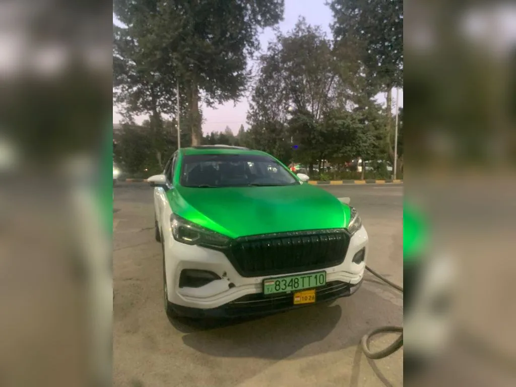 Hongqi E Hs3